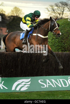 Temoin, monté par Wayne Hutchinson, remporte la meilleure cote garantie au betinternet.com handicap Steeple Chase pendant le vendredi de Tingle Creek à l'hippodrome de Sandown. Banque D'Images