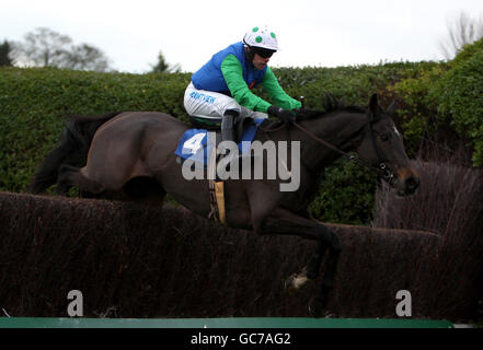 Les courses de chevaux - Tingle Creek vendredi - Sandown Park Banque D'Images