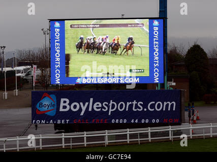 Courses hippiques - Boylesports International - première journée - Hippodrome de Cheltenham.Un grand écran montre des courses lors de la rencontre internationale Boylesports à Cheltenham Racecourse, Gloucestershire. Banque D'Images