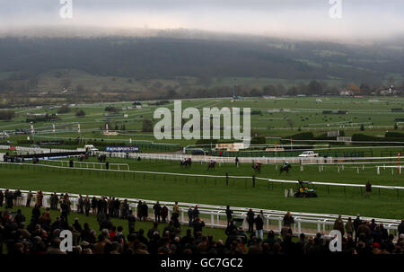 Courses hippiques - Boylesports International - première journée - Hippodrome de Cheltenham.Vue générale de Runners et Riders dans le Neptune Investment Management Steeple Chase Banque D'Images