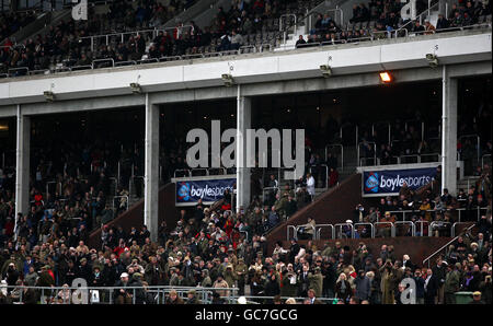 Courses hippiques - Boylesports International - première journée - Hippodrome de Cheltenham. Les Racegoers regardent l'action depuis la tribune principale Banque D'Images