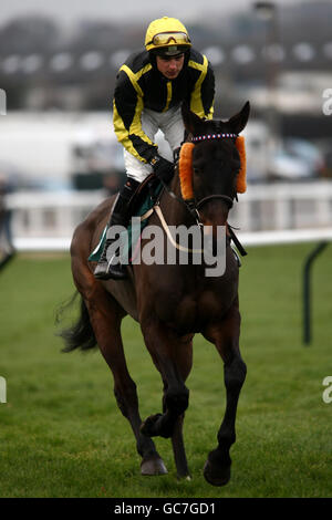 Courses hippiques - Boylesports International - première journée - Hippodrome de Cheltenham.Le jockey Harry Skelton sur Qhilimar va poster dans les FC Roberts Electrical + Mechanical Services Conditional Jockey's Handicap Steeple Chase Banque D'Images