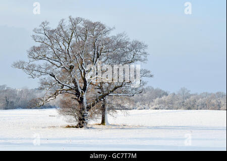 La scène à Ingatestone, Essex après une nuit de neige. Banque D'Images