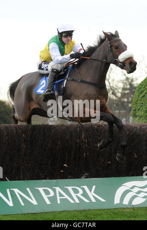 Courses hippiques - Tingle Creek Friday - Sandown Park.Kicks for Free, monté par Tony McCoy dans le future Stars Chase betinternet.com pendant le vendredi de Tingle Creek au Sandown Racecourse Banque D'Images