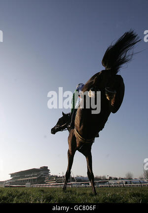 Seven est mon numéro monté par Timmy Murphy à la deuxième dernière sur son chemin à gagner le Dipper novices Chase à Cheltenham Racecourse, Cheltenham. Banque D'Images