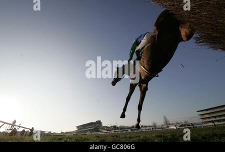 Seven is My Number criblé par Timmy Murphy va de suite pour gagner le Dipper novices Chase à Cheltenham Racecourse, Cheltenham. Banque D'Images