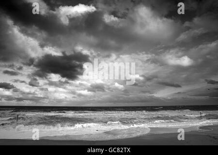 Une vue générale de la plage entre Horsey et Winterton sur la mer, qui abrite une colonie de phoques gris. Banque D'Images