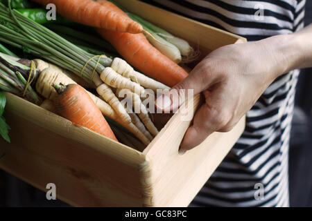 Close up of awoman tenant une grande caisse en bois plein de matières, des légumes fraîchement récoltés. Banque D'Images