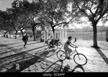 Les cyclistes équitation le long des rives de la rivière Guadalquivir, le soleil qui rayonne à travers les arbres casting shadows sur les chaussées pavées Séville Banque D'Images