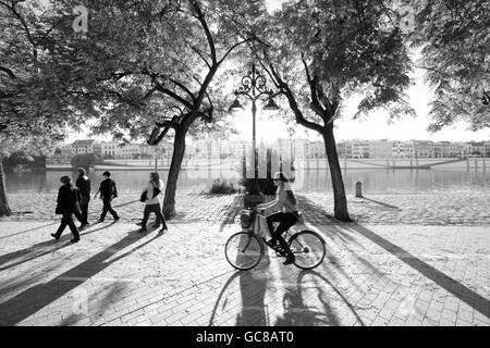 Les cyclistes équitation le long des rives de la rivière Guadalquivir, le soleil qui rayonne à travers les arbres casting shadows sur les chaussées pavées Séville Banque D'Images