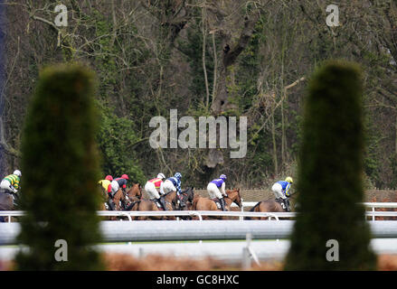 Les courses de chevaux - William Hill Winter Festival 2009 - Jour 1 - Kempton Park Racecourse Banque D'Images