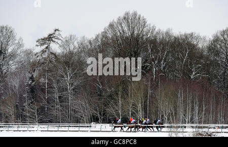 Coureurs et Riders dans le Bet tous temps Racing - Betdaq revendiquant des enjeux classifiés font leur chemin autour du cours Banque D'Images