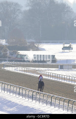 Courses hippiques - Lingfield Racecourse. Vue générale sur la neige à l'hippodrome de Lingfield Banque D'Images