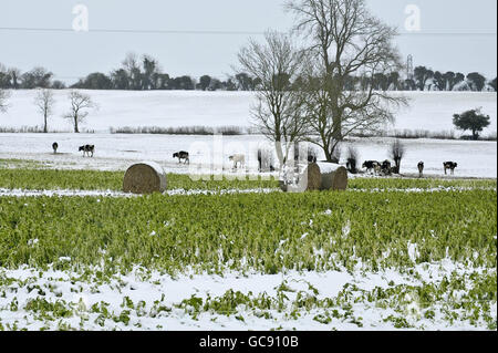 Météo d'hiver jan 10e Banque D'Images