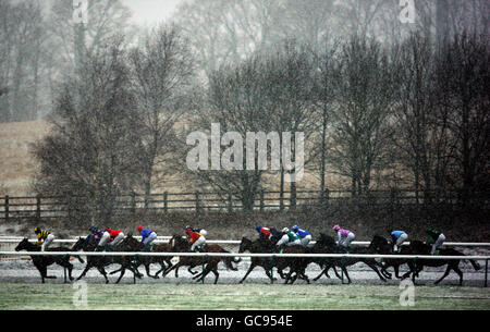 Courses hippiques - Lingfield Park. Action générale des betdaq.co.uk piquets de handicap Banque D'Images