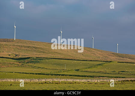 Quatre des cinq éoliennes situées sur Burger Hill en 1983 au-dessus de Evie sur les îles Orkney l'un des premiers en France. 10 558 SCO Banque D'Images