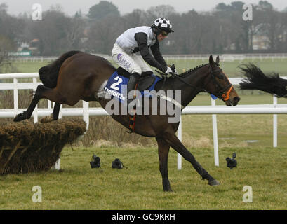 Courses hippiques - Hennessy Gold Cup - Hippodrome de Leopardstown.Brian O'Connell saute le dernier sur Dunguib pour gagner l'obstacle Deloitte Novice lors de la Hennessy Gold Cup à l'hippodrome de Leopardstown, à Dublin. Banque D'Images