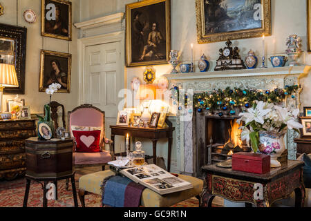 Carafe et album photo sur la selle à allumé un incendie en classé Grade I décorées de style gothique victorien, Carlton Towers, East Riding à Chris Banque D'Images