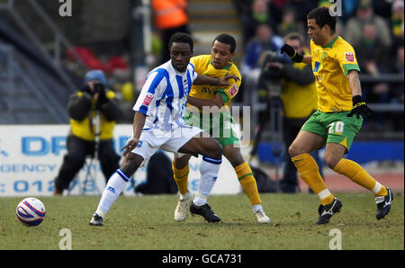 Kazenga LuaLua de Brighton et Hove Albion (à gauche) et Korey Smith de Norwich City (au centre) se battent pour le ballon, tandis que Darel Russell de Norwich City s'occupe du match Coca-Cola League One au Withdean Stadium de Brighton. Banque D'Images