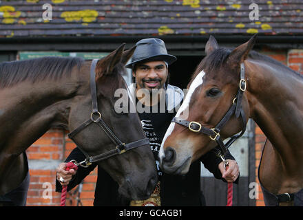 Le champion du monde Heavyweight Boxer David Haye visite le domicile du champion saute Trainer, Paul Nicholls au Manor Farm stables à Shepton Mallet dans le Somerset pour rencontrer Denman (à gauche) et Kauto Star (à droite), les deux plus grands chevaux de course du pays, pour marquer quatre semaines jusqu'à ce que les deux se disputent pour la coupe d'or Cheltenham. Banque D'Images