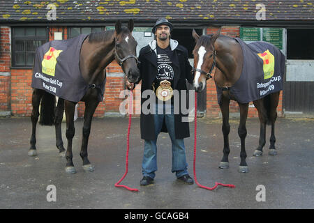 Le champion du monde Heavyweight Boxer David Haye visite le domicile du champion saute Trainer, Paul Nicholls au Manor Farm stables à Shepton Mallet dans le Somerset pour rencontrer Denman (à gauche) et Kauto Star (à droite), les deux plus grands chevaux de course du pays, pour marquer quatre semaines jusqu'à ce que les deux se disputent pour la coupe d'or Cheltenham. Banque D'Images