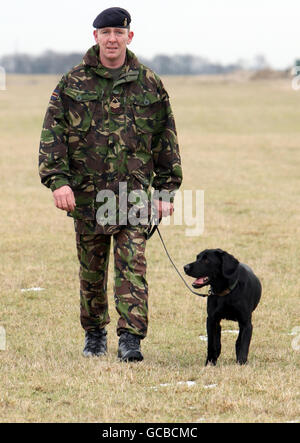 Chien de l'armée remporte la médaille Dickin Treo Banque D'Images