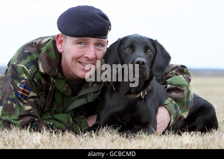 Chien de l'armée remporte la médaille Dickin Treo Banque D'Images