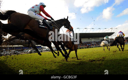 Action pendant le Racing Post Steeple Chase (handicap) (classe 1) à l'hippodrome de Kempton Park, Londres Banque D'Images