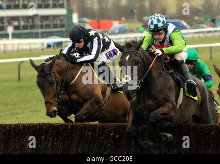 Les courses de chevaux - 2010 Cheltenham Festival - Jour 4 Banque D'Images