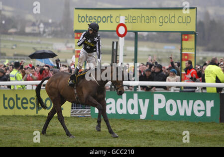 Le jockey Paddy Brennan célèbre le regard sur la foule alors qu'il conduit le commandant impérial à la victoire dans la coupe d'or Totesport pendant le quatrième jour du festival Cheltenham 2010 à l'hippodrome de Cheltenham. Banque D'Images