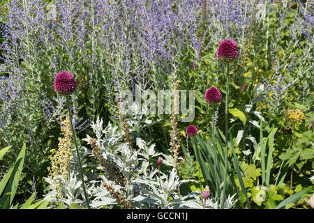 Le Jardin de gravier à la Yeo Valley Jardin bio, Holt ferme, Blagdon, North Somerset, Royaume-Uni Banque D'Images