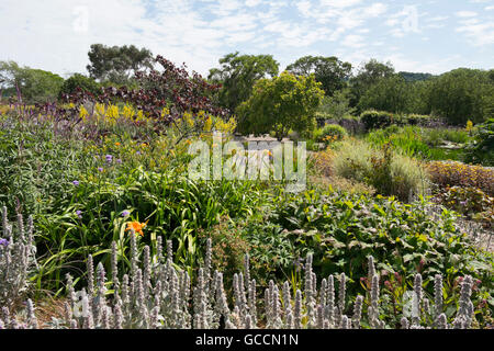 Le Jardin de gravier à la Yeo Valley Jardin bio, Holt ferme, Blagdon, North Somerset, Royaume-Uni Banque D'Images