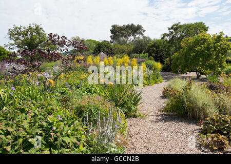 Le Jardin de gravier à la Yeo Valley Jardin bio, Holt ferme, Blagdon, North Somerset, Royaume-Uni Banque D'Images