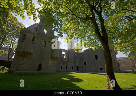 Les ruines de l'Earl's Palace à Kirkwall îles Orkney. Ecosse.UK. 10 587 SCO. Banque D'Images