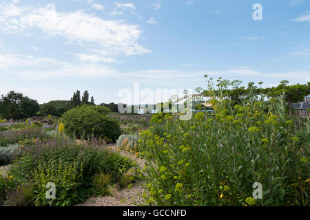 Le Jardin de gravier à la Yeo Valley Jardin bio, Holt ferme, Blagdon, North Somerset, Royaume-Uni Banque D'Images