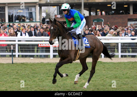 Courses hippiques - 2010 Cheltenham Festival - troisième jour.Seven est mon numéro crié par jockey Timmy Murphy avant le Handicap Chase des novices de Jewson (listé) Banque D'Images