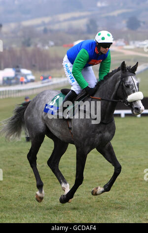 Grand effort criblé par le jockey Danny Cook avant le Plaque de groupe Byrne (Handicap Chase) (classe 3) Banque D'Images