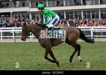 Courses hippiques - 2010 Cheltenham Festival - troisième jour.Kayf Aramis monté par le jockey Paddy Brennan avant la finale de Pertemps (haillon de handicap) (listé) Banque D'Images