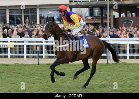 Hey Big Spender criblé par le jockey Joe Tizzard avant Le petit guide des novices de Jewson Chase (listé) Banque D'Images