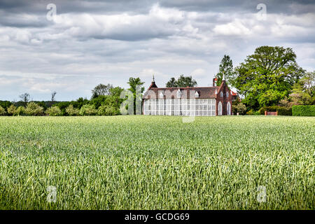 Woerlitzer Park : green house avec domaine en été Banque D'Images