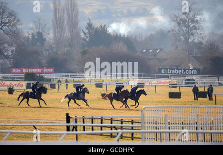 Courses hippiques - 2010 Cheltenham Festival - première journée.Un mardi matin froid, des chevaux sont travaillés sur les gallops pendant le premier jour du festival Cheltenham 2010 à l'hippodrome de Cheltenham. Banque D'Images