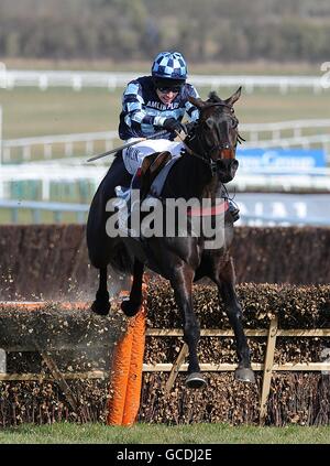 Courses hippiques - 2010 Cheltenham Festival - première journée.Menorah, monté par Richard Johnson, saute la dernière clôture sur le chemin de gagner l'obstacle de la recherche spinale suprême novices Banque D'Images