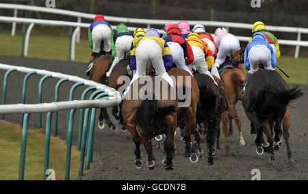 Horse Racing - Derby d'hiver - Lingfield Park Racecourse Banque D'Images