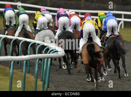 Horse Racing - Derby d'hiver - Lingfield Park Racecourse Banque D'Images