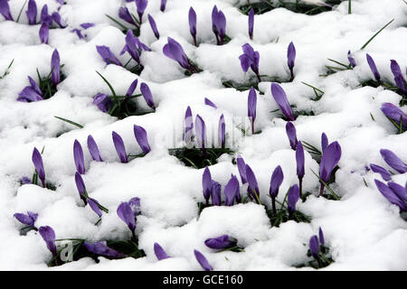 Temps de Printemps Mars30th Banque D'Images