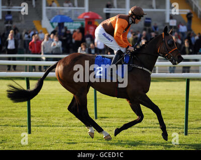 Les courses de chevaux - nuit irlandaise - Hippodrome de Nottingham Banque D'Images