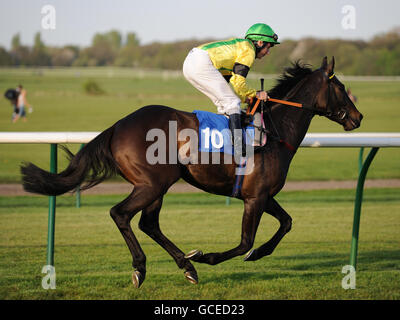 Les courses de chevaux - nuit irlandaise - Hippodrome de Nottingham Banque D'Images