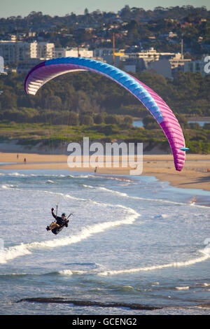 Un homme vole son parapente le long de la clifftops. Le deltaplane est aussi populaire ici, sur les plages du nord de Sydney péninsule. Banque D'Images