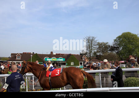 Courses hippiques - la bet365 Gold Cup Meeting - deuxième jour - Sandown Park.Les Racegoers regardent les chevaux dans l'anneau de parade au parc Sandown Banque D'Images