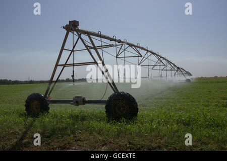 Système d'irrigation à grande échelle dans une ferme du désert Banque D'Images